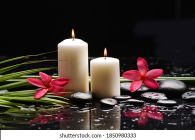 spa still life of with red  frangipani and two candle with zen black stones ,green palm wet background - Powered by Shutterstock