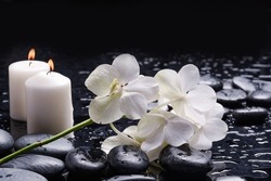 Spa Still Life Of With 
White Orchid , Branch Candle,and Zen Black Stones Wet Background
