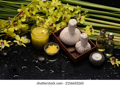 Spa still life of with white orchid with candle on zen black stones and salt spoon in bowls,green plant  on wet background