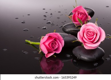 62,153 Flower stone rose Images, Stock Photos & Vectors | Shutterstock