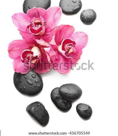 Spa stones and beautiful pink orchids on white background