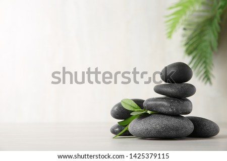 Spa stones with branch on light background. Space for text