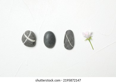 Spa Stones And Fresia Flower On White Table, Flat Lay