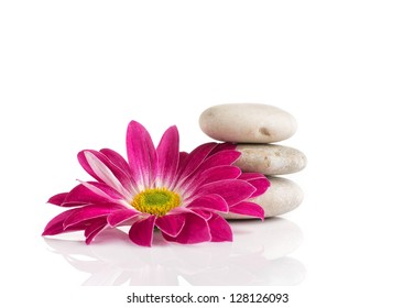 Spa Stones And Lilac Flower, Isolated On White Background.