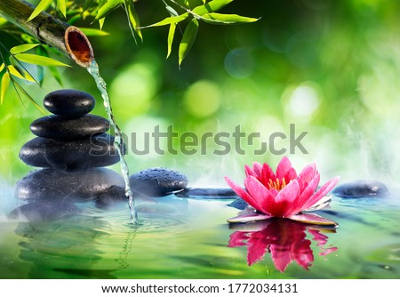 Spa Stones And Waterlily With Fountain In Zen Garden