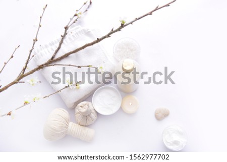 spa theme object on white background, Beautiful spa setting


