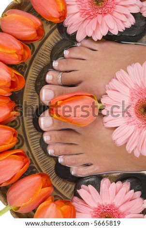 Spa treatment with beautiful elegant tulips and gerberas