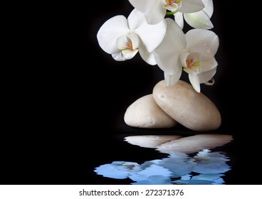 Spa Treatment Massage Stones, With White Orchid.Isolated On Black Background.Water Reflection.