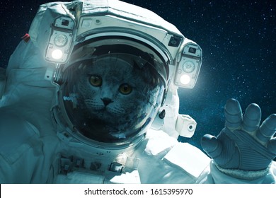 1,703 Cat Space Suit Images, Stock Photos & Vectors | Shutterstock