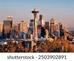 The Space Needle observation tower in Seattle, Washington.