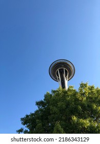space needle in Seattle with trees