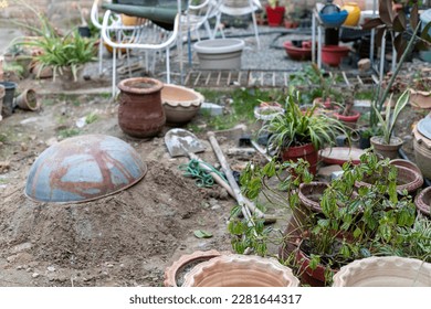 Space for propagation and transplantation station of plants in the home DIy plant nursery
