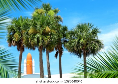 Space rocket and palm trees over blue sky in Florida, USA - Powered by Shutterstock