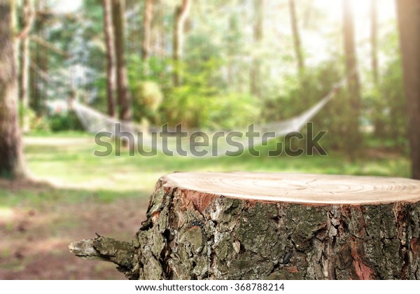 Space Your Decoration Tree Trunk Stock Photo Edit Now 368788214