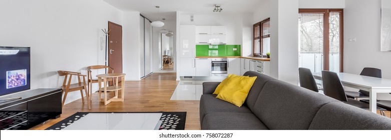 Spacious apartment interior with tv living room and kitchenette, panorama