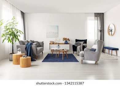 Spacious Grey And Navy Blue Scandinavian Living Room Interior