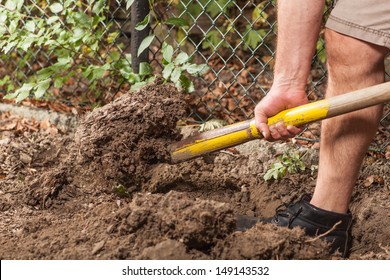 A Spade Full Of Dirty Soil.