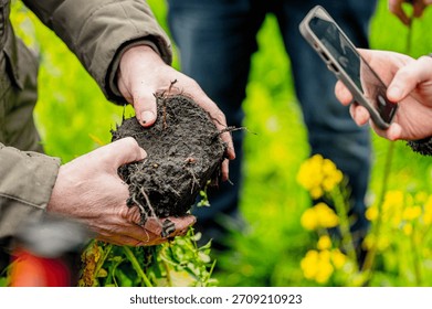 Spade test and soil sample to assess the fertility and physical and biological properties of the soil and plants in agriculture