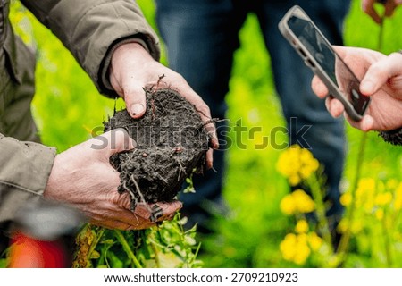 Spade test and soil sample to assess the fertility and physical and biological properties of the soil and plants in agriculture