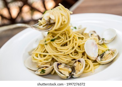 Spaghetti alle vongole veraci
pasta with fresh clams in white wine sauce. top shot with clams open and fresh capers. Lifestyle shot with fork picking up the food. - Powered by Shutterstock