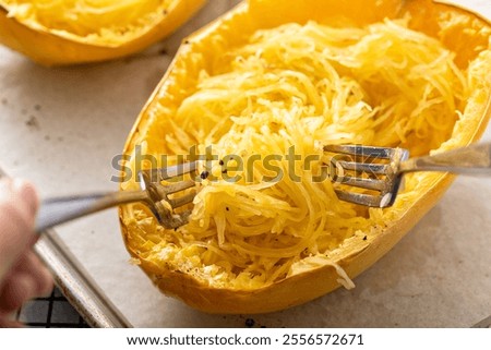 Spaghetti squash baked and pulled apart with two forks, ready to eat on a baking pan
