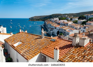 Spain Catalonia Cadaques Sea Life