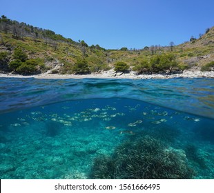Spain Costa Brava, Mediterranean coast with a school of fish underwater, split view over and under sea surface, Roses, Cala Murtra, Catalonia