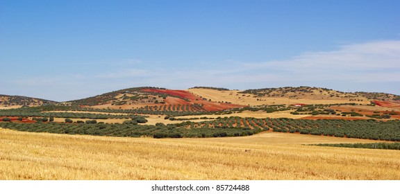 Spain Landscape, Cultivated Fields