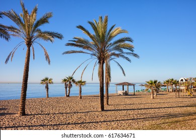 Spain, Marbella, Beach With Palm Trees In Resort City On Costa Del Sol At Mediterranean Sea.