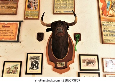 Mérida, Spain - Oct. 7, 2017: Stuffed Head Of Famous Mighty Bull Alcornoque Who Escaped From The Bullring In 1979, Surrounded By Bullfighting Posters, Photos And Memorabilia Against A Whitewashed Wall