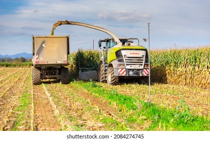 SPAIN, PROVINCE OF GIRONA - October 20, 2021: Harvester cutting corn, crop processing and loading harvest of forage crop into truck on farm
