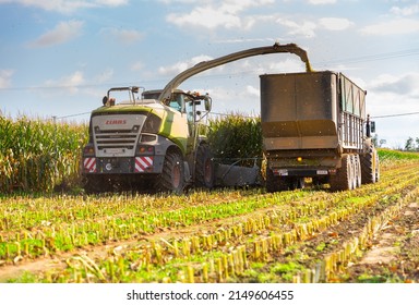 SPAIN, PROVINCE OF GIRONA - October 20, 2021: Process Of Corn Silage Harvest For Livestock Feed Or Biogas Production