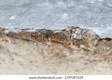 Spalling Concrete Wall Texture Cracked Damaged Rust Grunge Background

Spalling damaged concrete wall texture with cracks and rust corrosion. Broken cement surface with peeling paint and decay detail. Abandoned industrial background, destruction concept. Rough grunge texture no people no logo. Commercial photo perfect for grunge background, horror design, construction, and industrial concept. High resolution.
