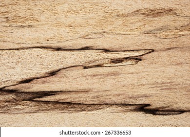 Spalted Maple Texture. With Unique And Distinctive Black Lines. Sought After Wood For Guitar Making.