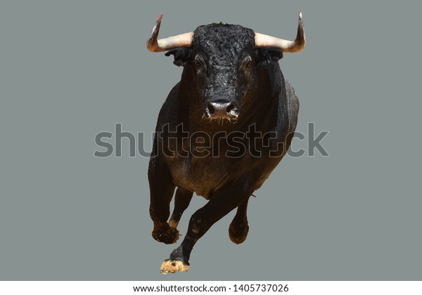 Discussion sur l'étoile du  10 octobre  2019 Spanish-bull-running-bullring-600w-1405737026