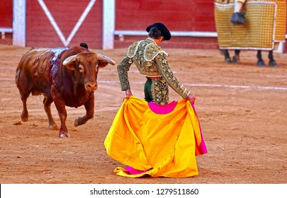 The Spanish Bullfight