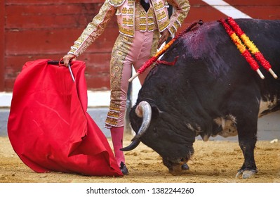 A Spanish bullfighter in action