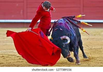 Spanish bullfighting bull and matador