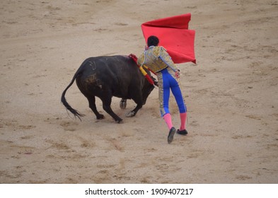
Spanish bullfighting Madrid national tradition