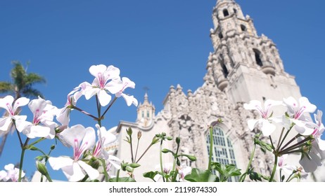 Spanish Colonial Revival Architecture In Balboa Park, San Diego, California USA. Historic Building, Classic Baroque Or Rococo Romance Style. Bell Tower Relief Decor And Mosaic Dome Or Cupola. Flowers.