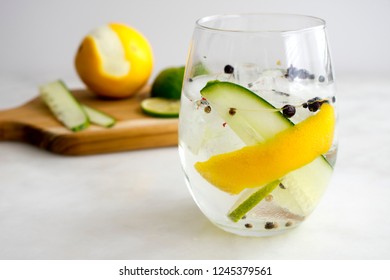 Spanish Gin Tonic Cocktail