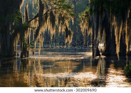 Spanish moss in the Louisiana Bayou Stok fotoğraf © 