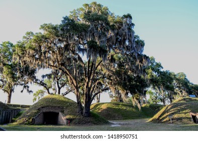 Spanish Moss Tree At Fort Mcallister