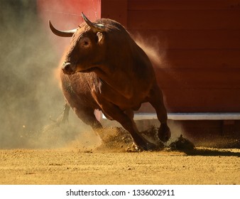 spanish red bull