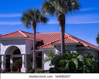 Spanish Tile Roof And Palm Trees