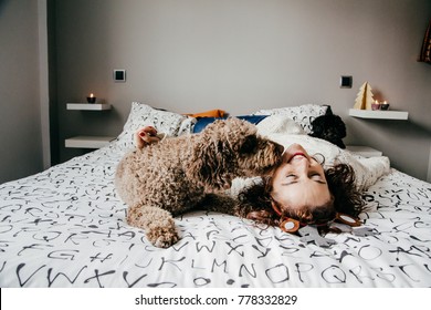 
Spanish Water Dog Licking Girl's Face Sitting On Top Of The Bed With Funny Faces Having A Great Time Together. Lifestyle.