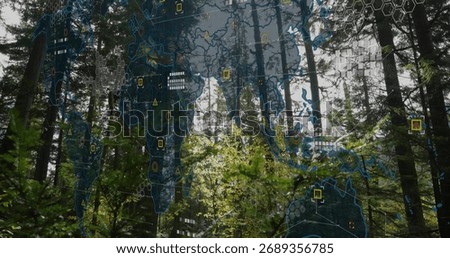 Spanning world map overlay hovering over evergreen forest, with hexagonal grid cells and data nodes. Geospatial, environmental, connectivity, data visualization, nature, eco, technology