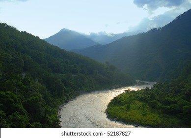 Sparkling River On A Darjeeling Tea Estate