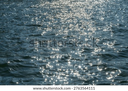 Sparkling sunlight glints off the deep blue rippling surface of the water