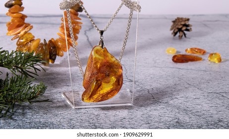 Amber Charm Imagenes Fotos De Stock Y Vectores Shutterstock